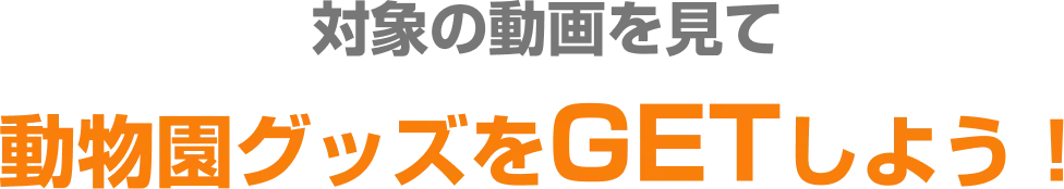 対象の動画を見て動物園グッズをGETしよう！